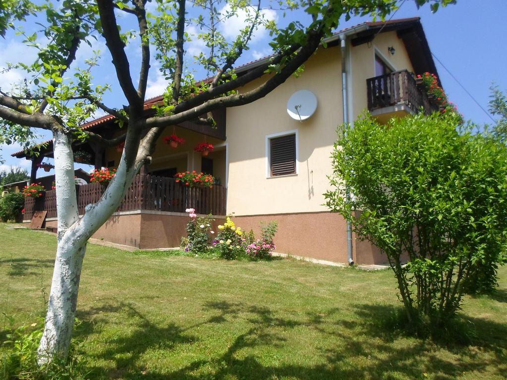 House Petra Διαμέρισμα Rakovica Εξωτερικό φωτογραφία